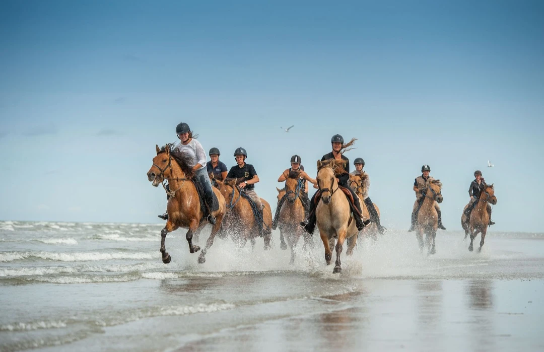 Balade à vélo autour de la Baie de Somme
